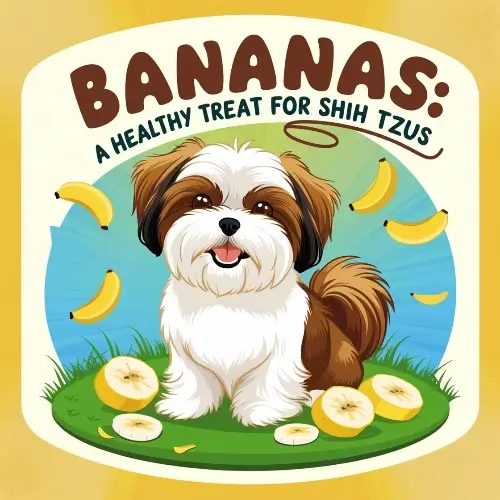 Banana benefits for shih tzu