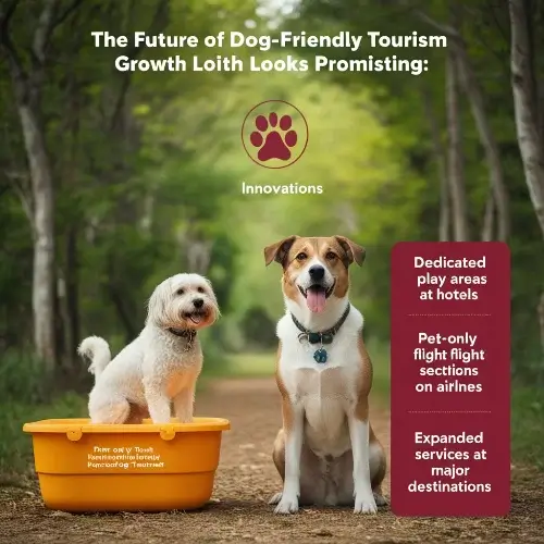 Future of Dog friendly travel 