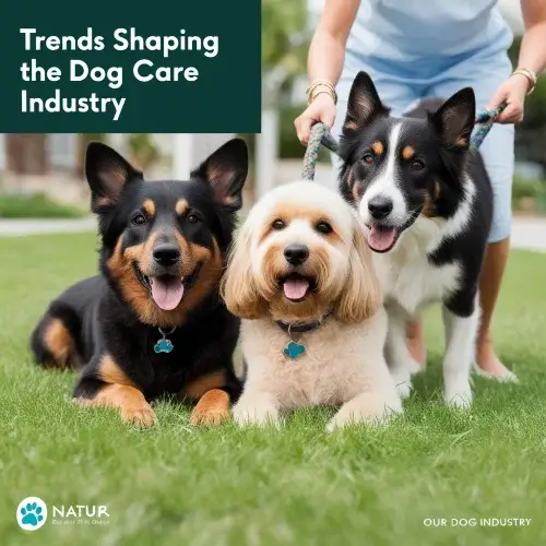 Global Trends of pet industry